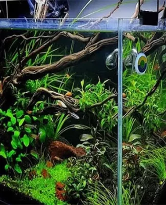 Agar Tetap Indah, Begini Tips Merawat Aquaspace Aquaspace