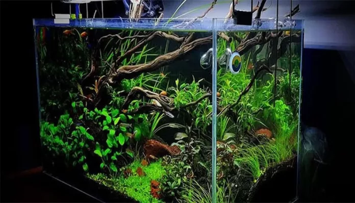 Aquaspace